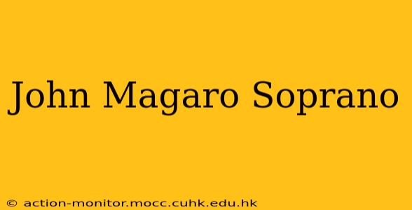 John Magaro Soprano