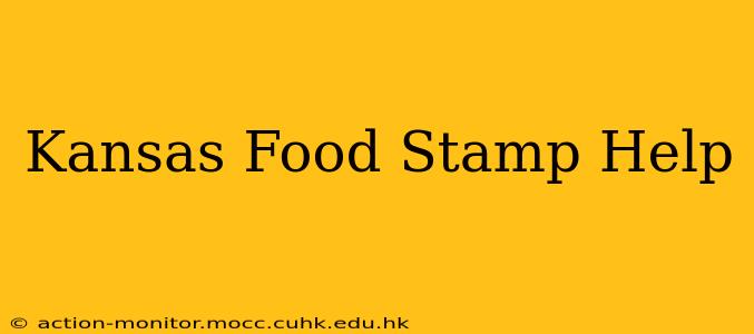 Kansas Food Stamp Help