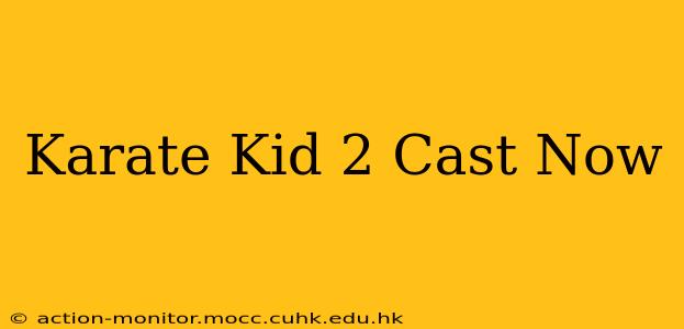 Karate Kid 2 Cast Now