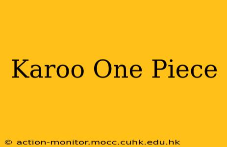 Karoo One Piece