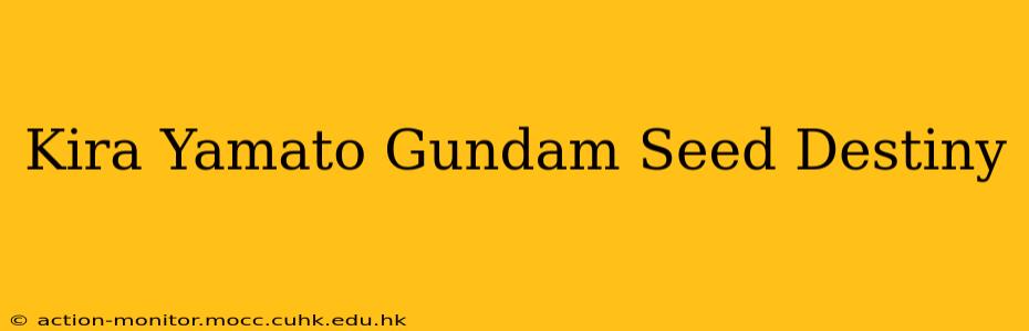 Kira Yamato Gundam Seed Destiny