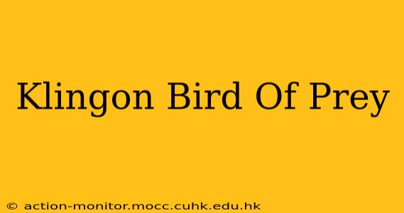 Klingon Bird Of Prey