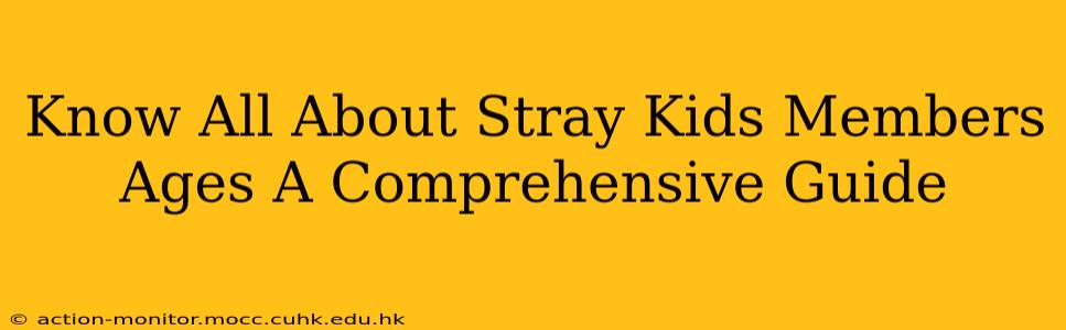 Know All About Stray Kids Members Ages A Comprehensive Guide