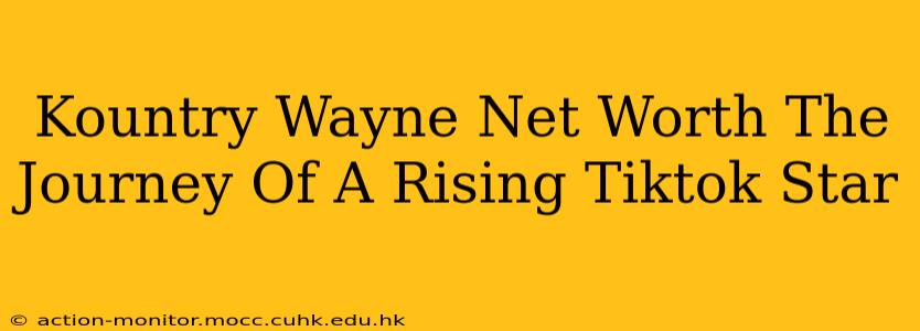 Kountry Wayne Net Worth The Journey Of A Rising Tiktok Star