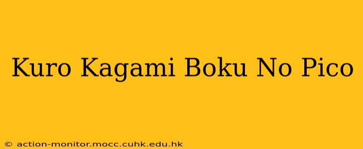 Kuro Kagami Boku No Pico