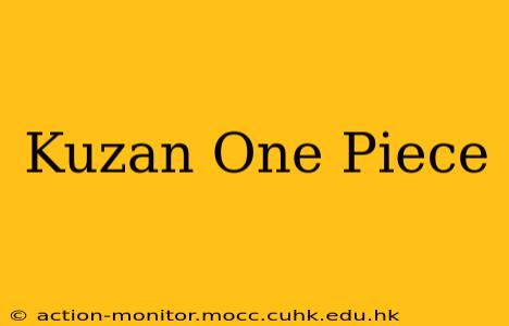 Kuzan One Piece