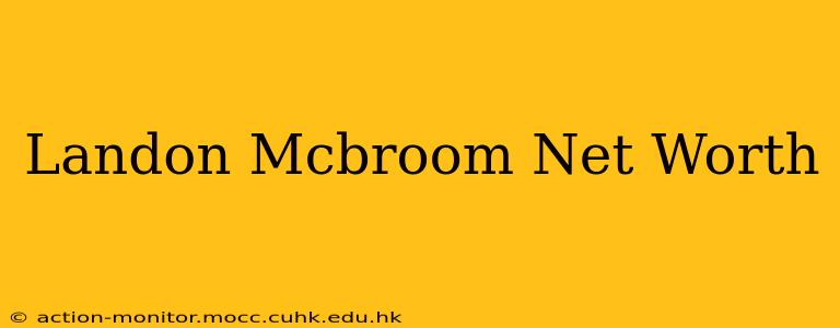 Landon Mcbroom Net Worth