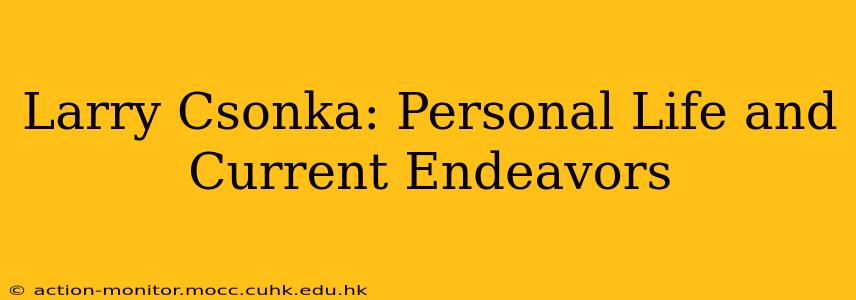 Larry Csonka: Personal Life and Current Endeavors