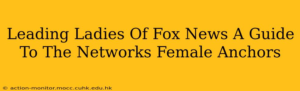 Leading Ladies Of Fox News A Guide To The Networks Female Anchors