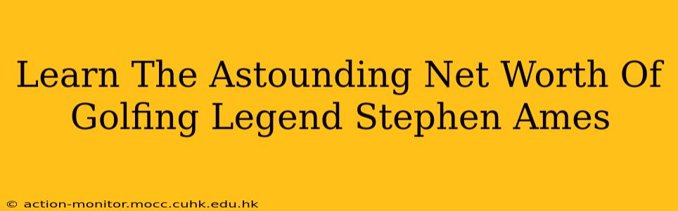 Learn The Astounding Net Worth Of Golfing Legend Stephen Ames