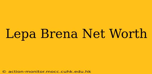 Lepa Brena Net Worth