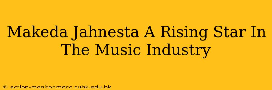 Makeda Jahnesta A Rising Star In The Music Industry