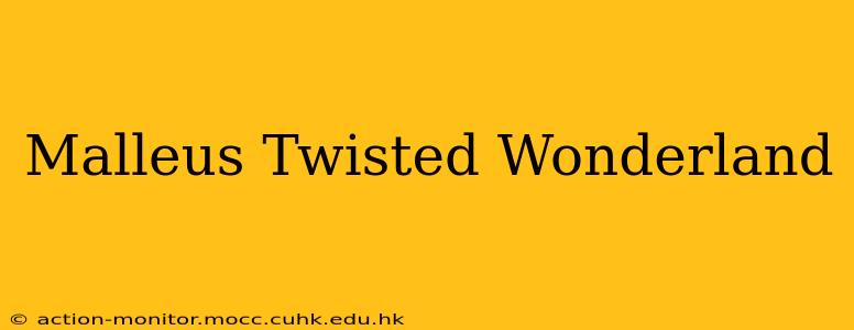 Malleus Twisted Wonderland