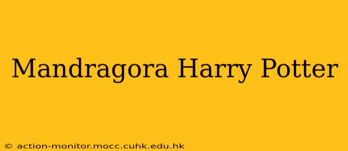 Mandragora Harry Potter