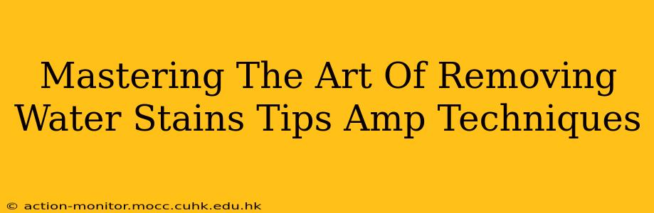Mastering The Art Of Removing Water Stains Tips Amp Techniques