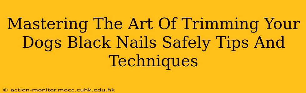 Mastering The Art Of Trimming Your Dogs Black Nails Safely Tips And Techniques