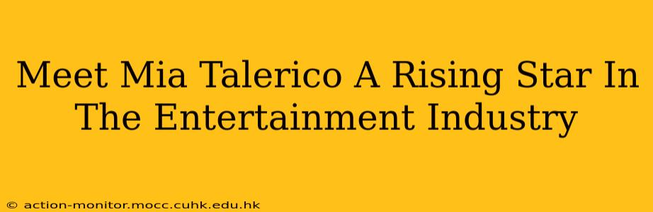 Meet Mia Talerico A Rising Star In The Entertainment Industry