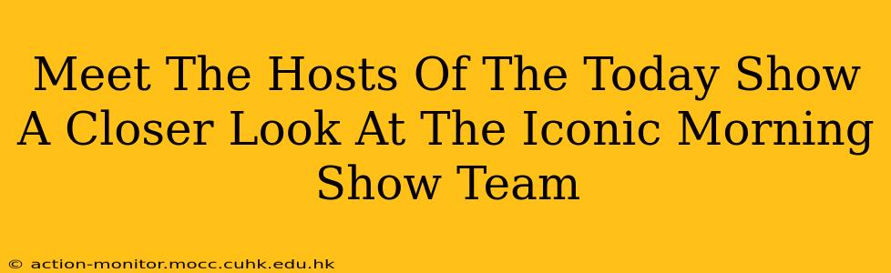 Meet The Hosts Of The Today Show A Closer Look At The Iconic Morning Show Team
