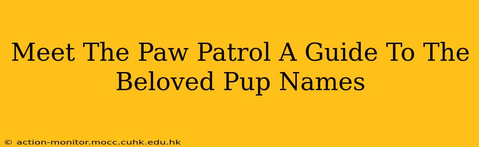 Meet The Paw Patrol A Guide To The Beloved Pup Names