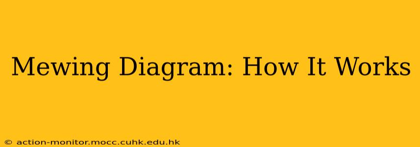 Mewing Diagram: How It Works