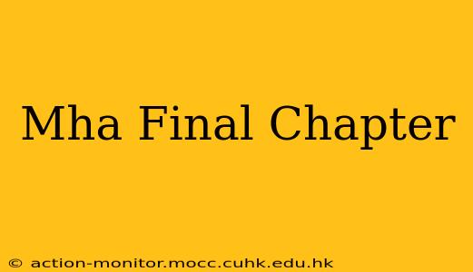 Mha Final Chapter