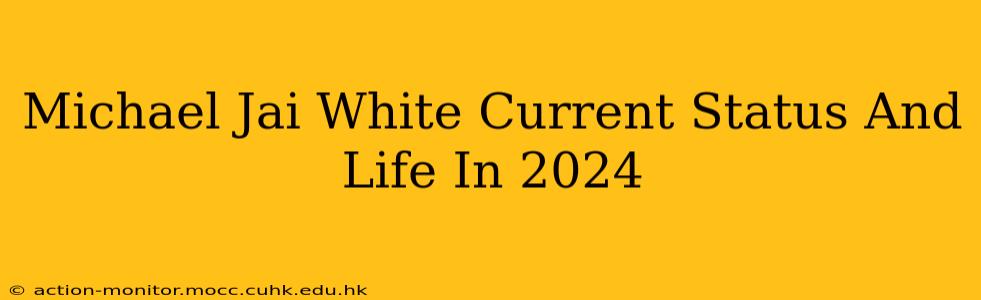 Michael Jai White Current Status And Life In 2024