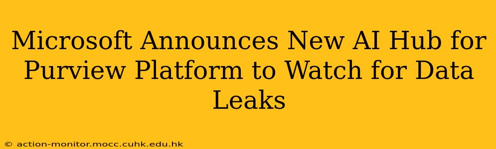 Microsoft Announces New AI Hub for Purview Platform to Watch for Data Leaks