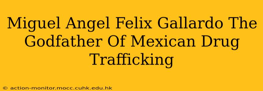 Miguel Angel Felix Gallardo The Godfather Of Mexican Drug Trafficking