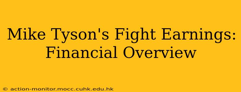 Mike Tyson's Fight Earnings: Financial Overview
