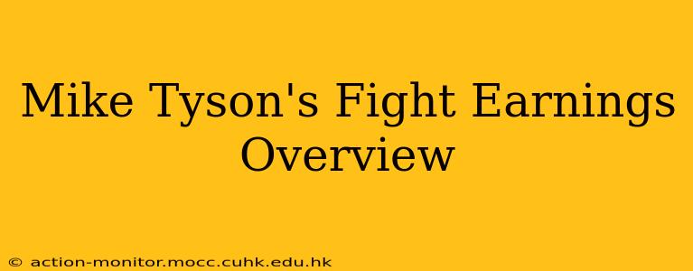 Mike Tyson's Fight Earnings Overview