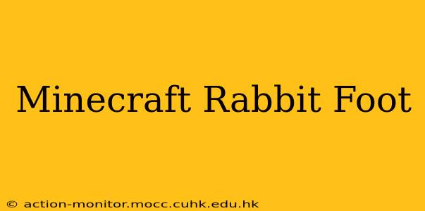 Minecraft Rabbit Foot