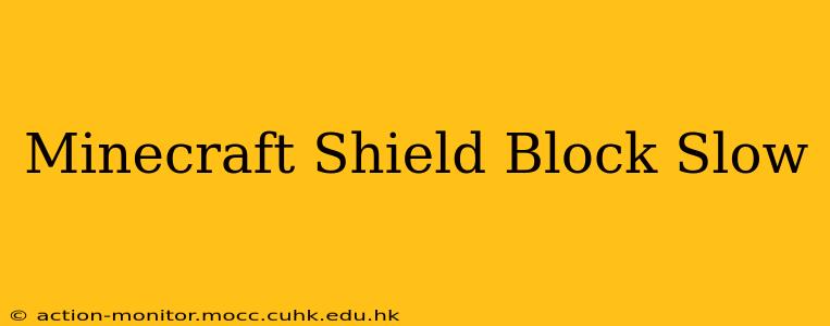 Minecraft Shield Block Slow