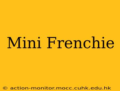 Mini Frenchie