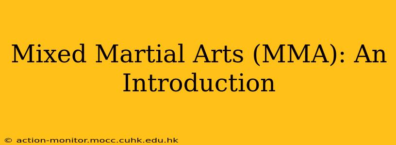 Mixed Martial Arts (MMA): An Introduction