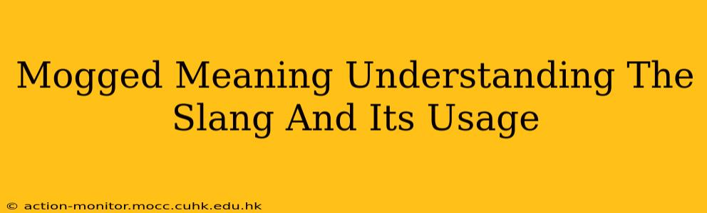 Mogged Meaning Understanding The Slang And Its Usage