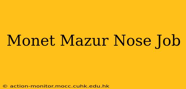 Monet Mazur Nose Job