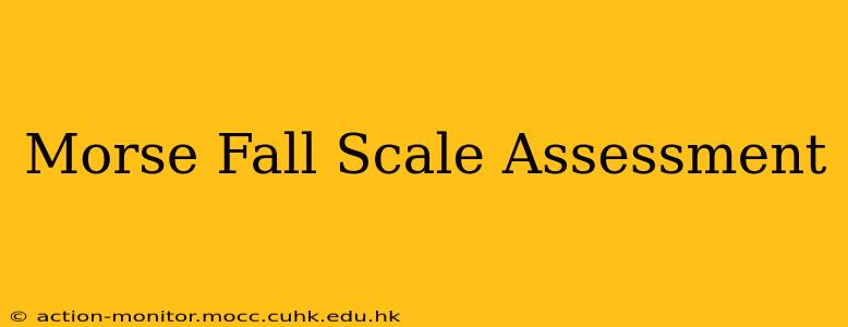 Morse Fall Scale Assessment
