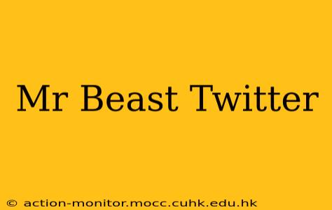 Mr Beast Twitter