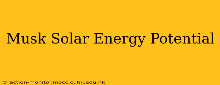 Musk Solar Energy Potential