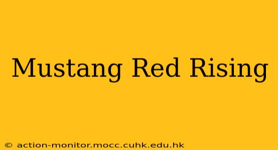 Mustang Red Rising