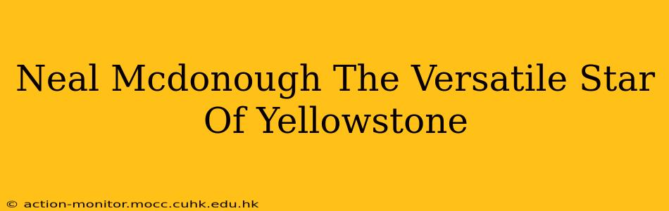 Neal Mcdonough The Versatile Star Of Yellowstone