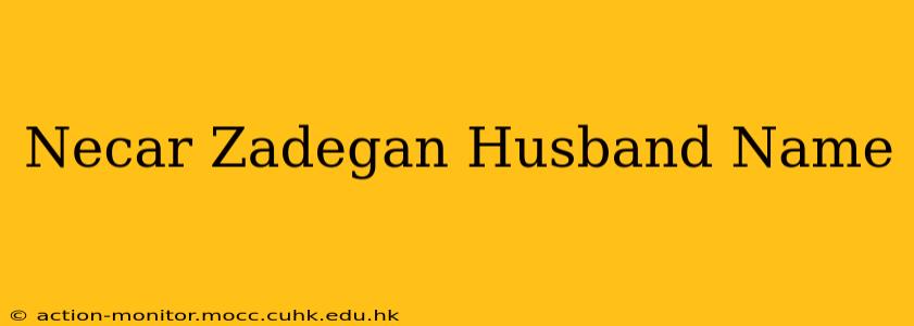 Necar Zadegan Husband Name