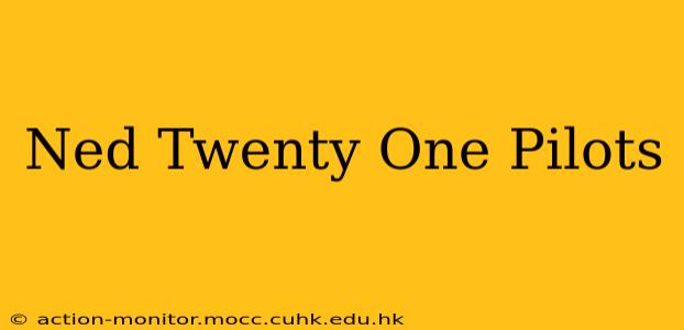 Ned Twenty One Pilots