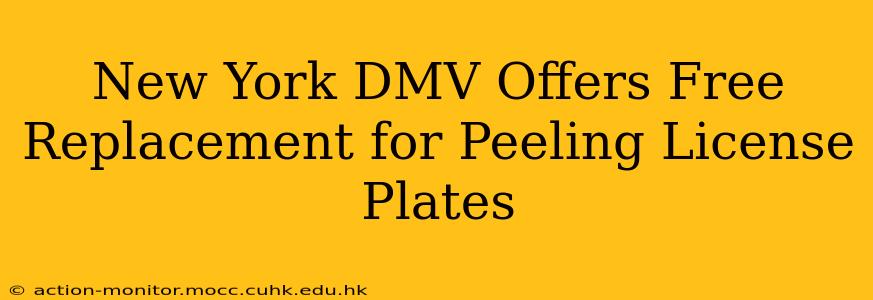 New York DMV Offers Free Replacement for Peeling License Plates