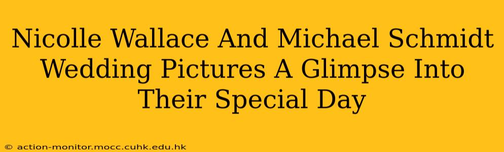 Nicolle Wallace And Michael Schmidt Wedding Pictures A Glimpse Into Their Special Day