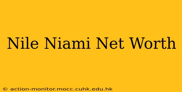 Nile Niami Net Worth