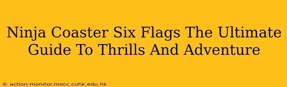 Ninja Coaster Six Flags The Ultimate Guide To Thrills And Adventure
