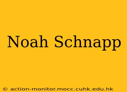 Noah Schnapp