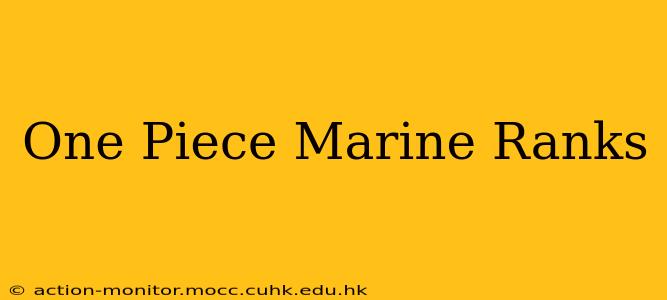 One Piece Marine Ranks