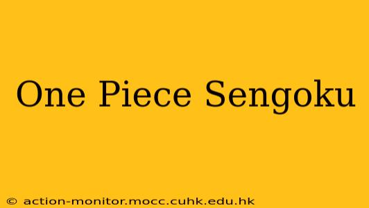 One Piece Sengoku